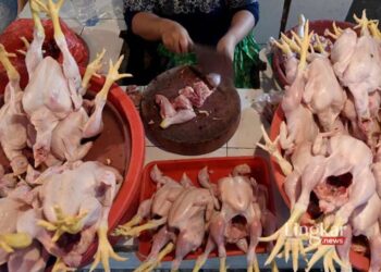 ILUSTRASI: Pedagang memotong daging ayam di Pasar Minggu, Jakarta Selatan. (Antara/Lingkar.news)