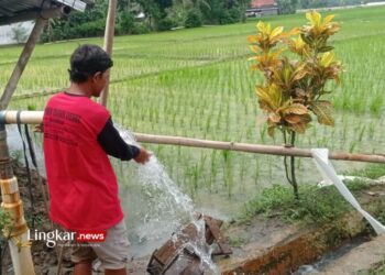Petani tengah mencoba pemasangan pompa satelit yang didanai oleh Dana Desa setempat untuk membantu gerakan percepatan tanam di Desa Tambakbaya Kecamatan Cibadak Kabupaten Lebak. (Antara/Lingkar.news)