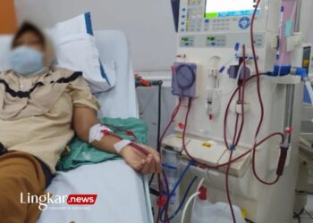 Cintai Ginjal Anda! Gagal Ginjal di Kalangan Muda Cukup Tinggi