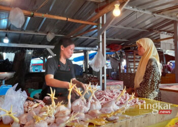 Penjual ayam di Pasar Rau Kota Serang, Banten, saat sedang melayani pembelinya, Selasa, 28 Mei 2024. (Antara/Lingkar.news)