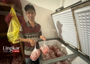 Pemprov Papua Tengah Gunakan Metode Frozen untuk Stabilkan Harga Cabai