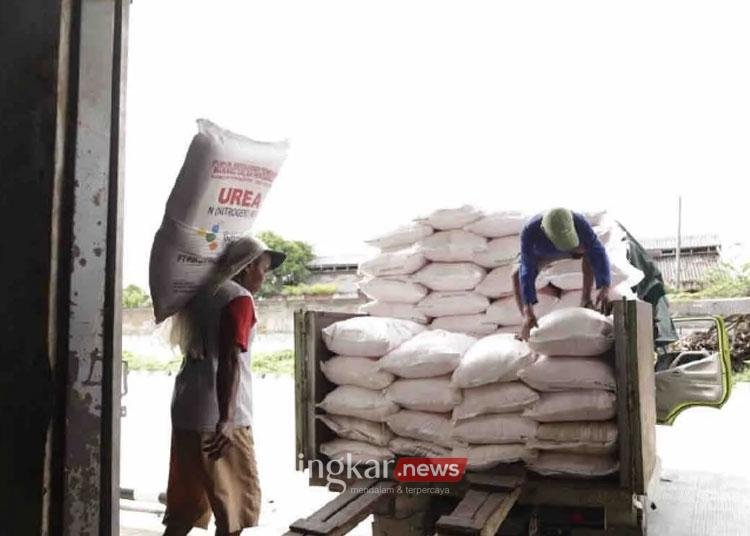 DPR Usulkan Petani Diberi Pupuk Subsidi Setelah Panen, Ini Alasannya