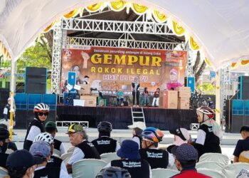 SOSIALISASI: Bupati Demak Eisti’anah menyampaikan sambutan dalam acara sosialisasi DBHCHT, Kamis, 15 Agustus 2024. (M. Burhanuddin Aslam/Lingkar.news)