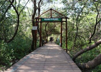 POTRET: Track mangrove di wisata Pantai Istambul, Kecamatan Karangtengah, Kabupaten Demak. (Dinparta Demak/Lingkar.news)