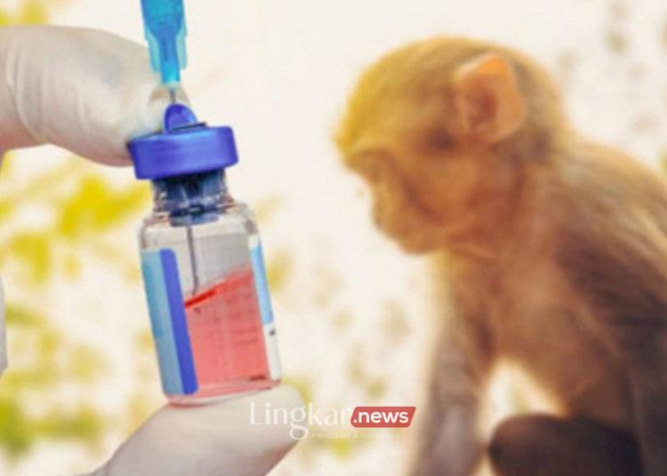 Siaga Hadapi Virus Mpox, Kemenkes Siapkan 12 Laboratorium Pemeriksaan