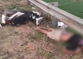 2 Pria Ditemukan Tewas Telungkup di Pantura Weleri Kendal, Diduga Laka Tunggal