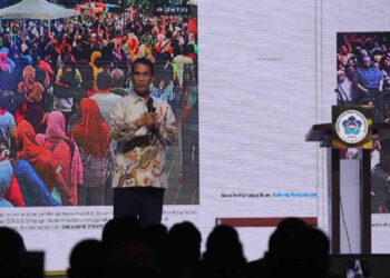 Pemerintah Ajak Pengusaha Tionghoa untuk Cetak 3 Juta Hektare Sawah
