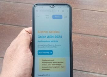 Pembelian E-Meterai Eror, Pendaftaran Seleksi CPNS Diperpanjang