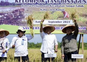 Kementan Siap Pakai Setengah Juta Hektare Lahan di Kalsel untuk Dibuka Sawah
