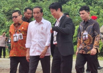 Presiden Jokowi: Investasi Asing Sudah Masuk IKN