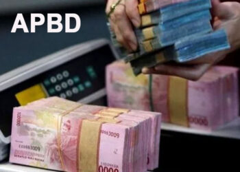 Gara-gara Pemekaran Wilayah APBD Papua Turun Rp538 Miliar