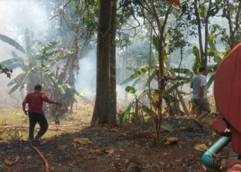 Gegara Bakar Sampah, 1 Hektare Kebun di Mlonggo Jepara Hangus Terbakar