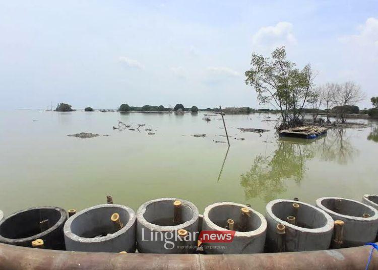 POTRET: Kawasan pesisir Morodemak, Kecamatan Bonang, Kabupaten Demak yang menjadi lokasi prioritas pembersihan pasir laut. (M. Burhanuddin Aslam/Lingkar.news)