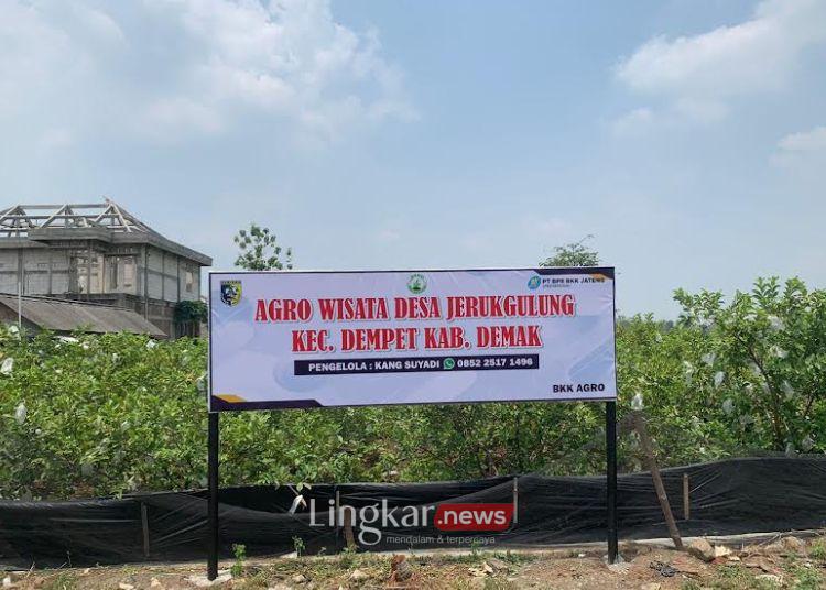 Pengembangan Agrowisata di Jerukgulung Demak Butuh Dukungan Pemerintah