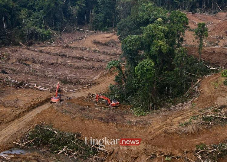 Kemenhan Genjot Pencetakan Satu Juta Hektare Sawah di Merauke