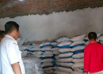Serapan Pupuk Subsidi di Situbondo Sudah Capai 70 Persen