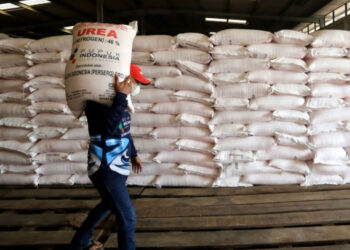 Pemerintah Wajibkan Gapoktan jadi Koperasi untuk Salurkan Pupuk Subsidi
