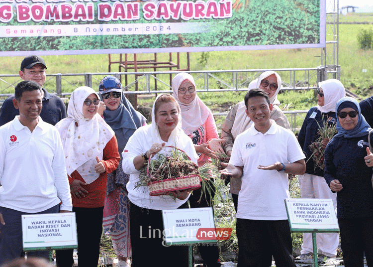 Kolaborasi dengan BRIN, Pemkot Semarang Sukses Panen Bawang Merah Lokananta dan Maserati