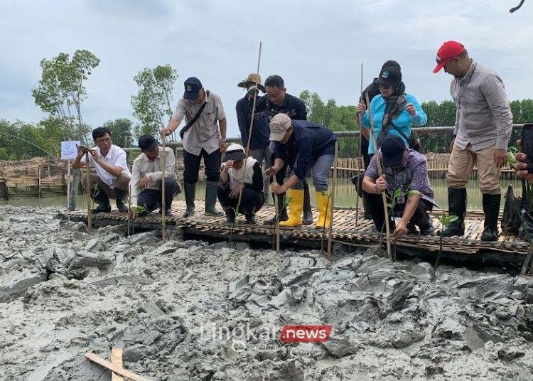 770 Ribu Ha Habitat Mangrove Makin Turun, Abrasi di Pantura Makin Parah