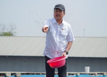 78 Ribu Hektare Tambak Pantura Banten-Jatim Direvitalisasi Mulai 2025