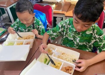 Anggaran Makan Bergizi Gratis Rp10.000 Per Porsi Hanya Berlaku di 2025