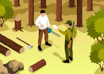 Dugaan Ilegal Logging di Lahan Perhutani Blora, Kelompok Tani Hutan Dipolisikan