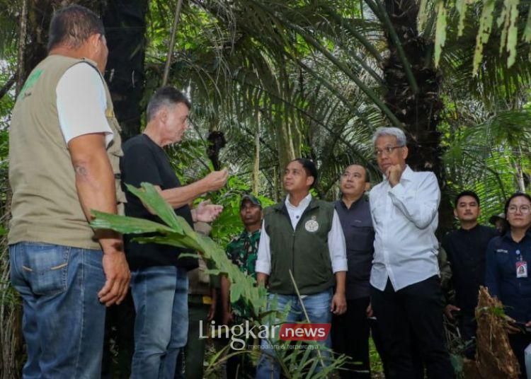 Kemenhut Siapkan 2 Juta Hektare Lahan Hutan Aren untuk Bioethanol