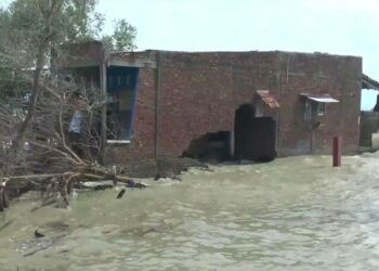 Rob di Demak, Pemkab Dukung Rencana Pembangunan Seawall