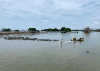 Abrasi di Demak, Hampir 800 Hektare Tambak Tak Bisa Difungsikan