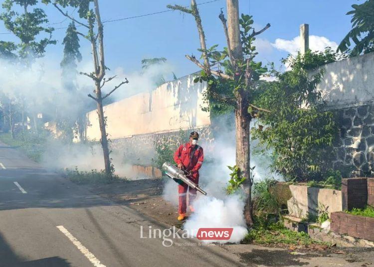 Ada 592 Kasus Demam Dengue dan DBD di Semarang Selama Januari 2025