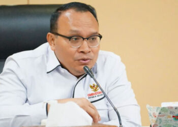 CASN Tahun 2024 Bermasalah, Ombudsman Minta Evaluasi Total
