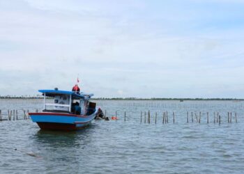 Polemik Pagar Laut, Kementerian ATR/BPN Ungkit Asas Contrarius Actus