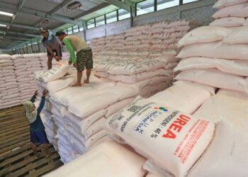 Rantai Distribusi Pupuk Dipangkas, Situbondo Masih Tunggu Regulasi