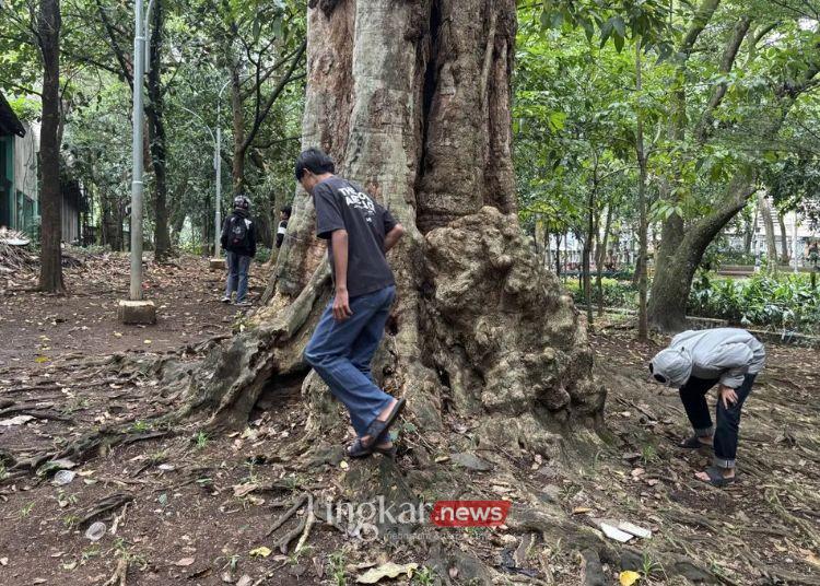 MENCARI KOIN: Para warga Bandung saat mencari koin harta karun yang tersebar di Taman Maluku, Kota Bandung, Jawa Barat, Kamis, 9 Januari 2025. (Antara/Lingkar.news)