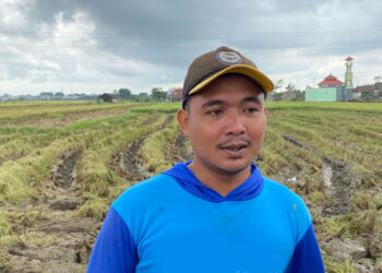Sempat dimainkan Oknum tengkulak, Petani senang gabahnya dibeli Bulog