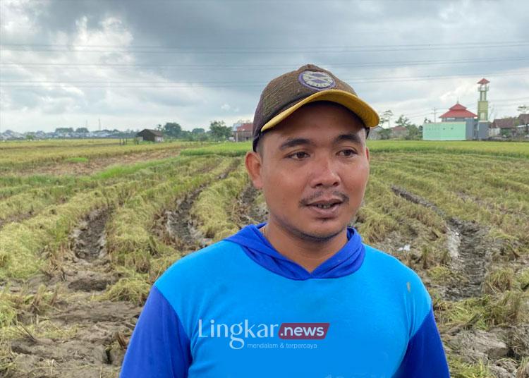 Sempat dimainkan Oknum tengkulak, Petani senang gabahnya dibeli Bulog