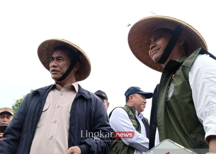 Program agroforestri, Manfaatkan 1,1 juta hutan untuk tanam padi gogo