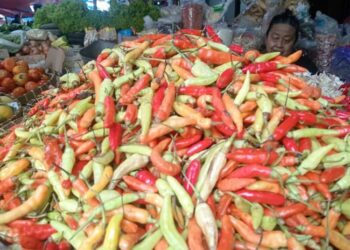 Harga Cabai di Jateng Mahal Capai Rp120 Ribu Dipicu Masalah Ini