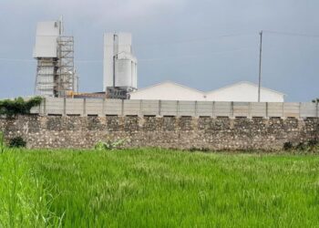 Perubahan Lahan Sawah Dilindungi di MPP Blora Wajib Penuhi 12 Syarat