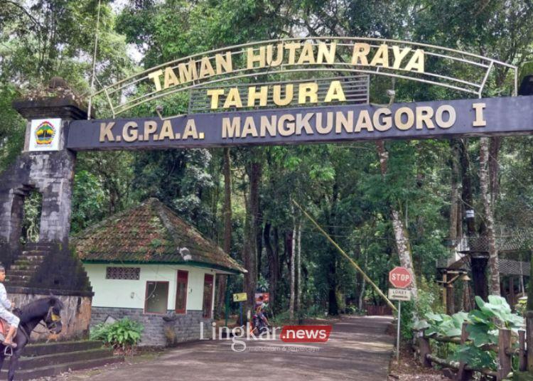 POTRET: Taman Hutan Raya (Tahura) KGPAA Mangkunegoro I. Terletak di lereng Gunung Lawu, tepatnya di kompleks belakang Candi Sukuh, Desa Berjo, Ngargoyoso Karanganyar, Jawa Tengah. (Humas Tahura Mangkunegoro/Lingkar.news)