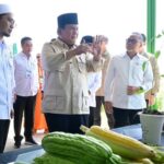 Dihantam Tarif Impor Trump, Prabowo Yakin Indonesia Bisa Berdikari