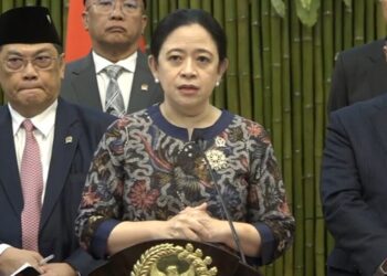 Puan Desak Pemerintah Bubarkan Ormas Berbau Premanisme