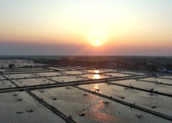 Tambak Pantura Sejumlah Kabupaten di Jabar Masuk Prioritas Revitalisasi