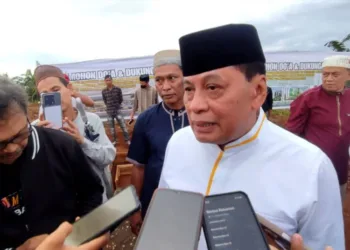 45 Purnawirawan jadi Komisaris BUMN, DPR : Karena Pengalaman