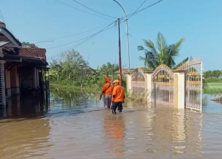 MENINJAU: Tim Badan Penanggulangan Bencana Daerah (BPBD) Kabupaten Pati meninjau banjir rob di Desa Tunggulsari, Kecamatan Tayu pada Rabu, 18 Juni 2025. (Dok. BPBD Pati/Lingkar.news)