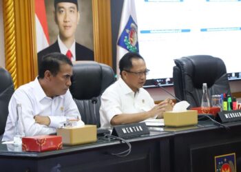 Hadapi Kemarau, Mendagri Instruksikan Pemda Percepat Swasembada Pangan