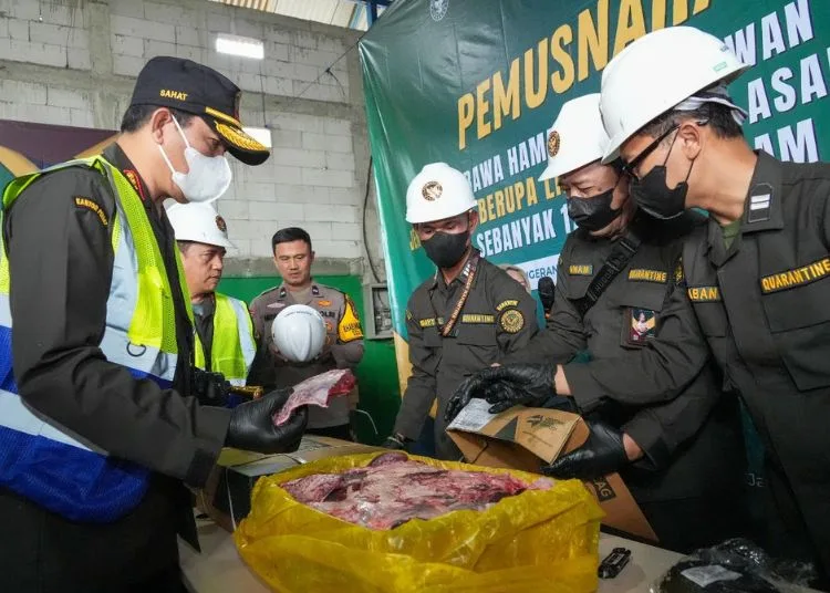 Badan Karantina Indonesia (Barantin) melalui Balai Besar Karantina Hewan, Ikan, dan Tumbuhan DKI Jakarta, memusnahkan 17,2 ton jeroan di Tangerang, Banten, Rabu, 18 Juni 2025. (Dok. Humas Barantin)