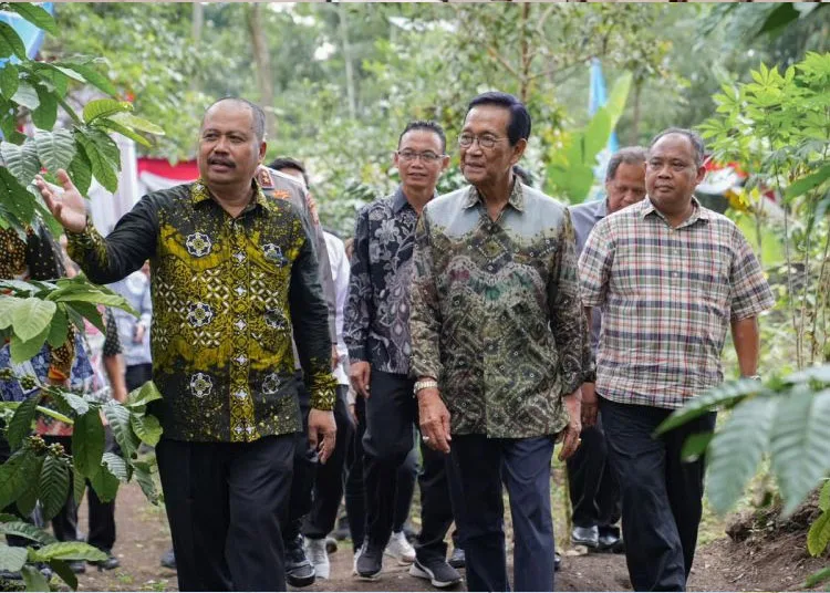 Gubernur DIY Sri Sultan Hamengku Buwono X bersama Dirjen Perkebunan Kementan Heru Tri Widarto dan Bupati Sleman Harda Kiswaya melakukan panen perdana kopi robusta di kawasan lereng Gunung Merapi, Dusun Ploso Kerep, Cangkringan, Sleman, Minggu (15/6/2025). ANTARA