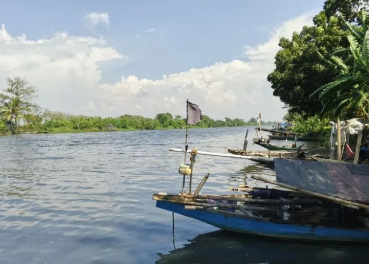 Kondisi sungai Ciujung yang menghitang di Desa Tengkurak, Kecamatan Tirtayasa, Kabupaten Serang, pada, Kamis, 19 Juni 2025. (Antara)