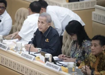 Dukungan Pendanaan DOB di Papua Capai Rp22,4 Triliun